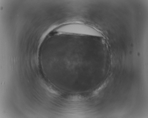 X0000067950200200604272108