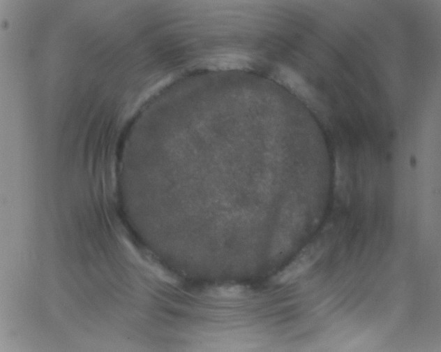 X0000067950202200604272108