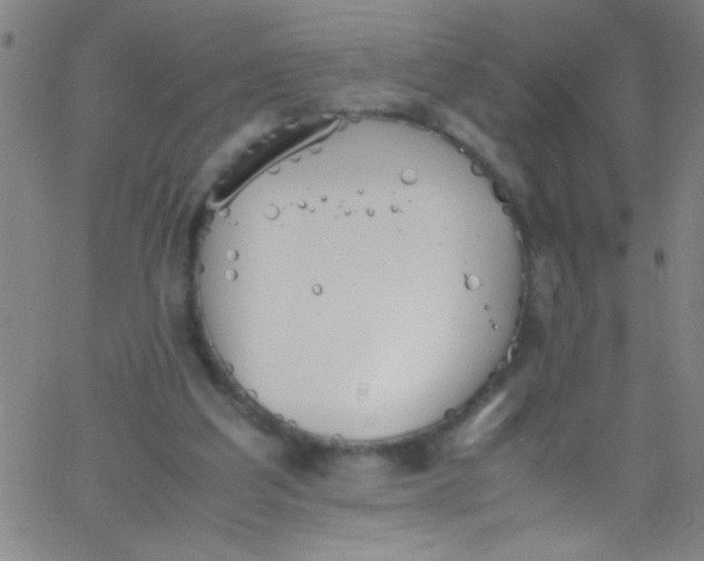 X0000067950203200604272108