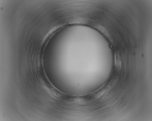 X0000067950204200604272108