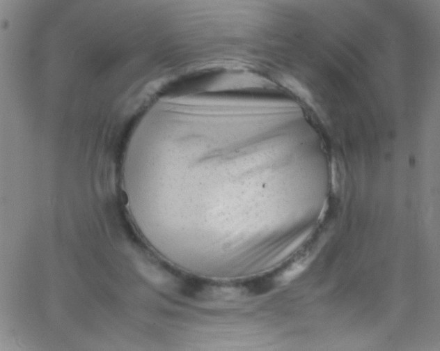 X0000067950205200604272108