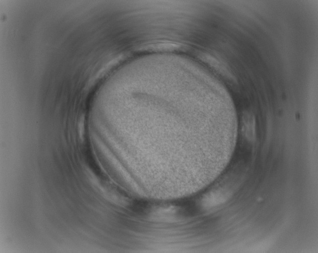 X0000067950206200604272108