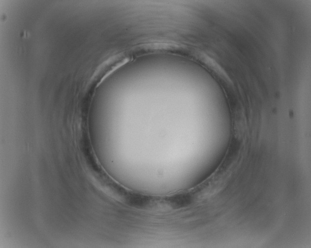 X0000067950207200604272108