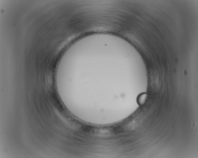 X0000067950208200604272108