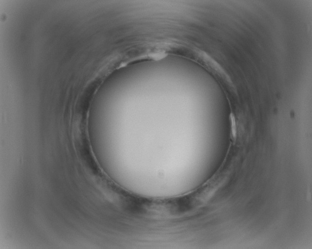 X0000067950209200604272107