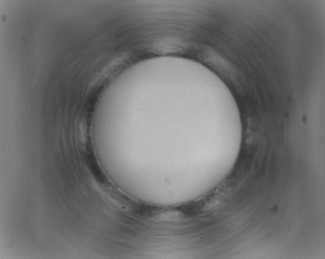 X0000067950210200604272107