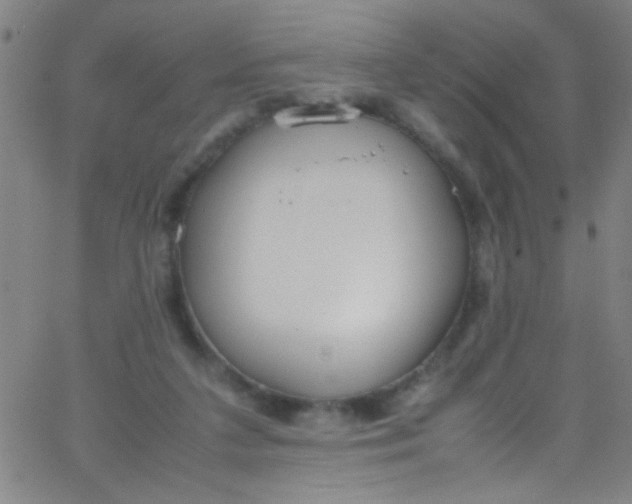 X0000067950211200604272107