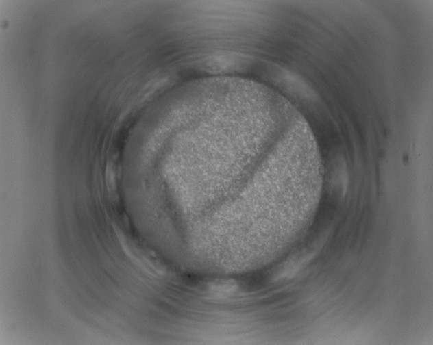 X0000067950214200604272107