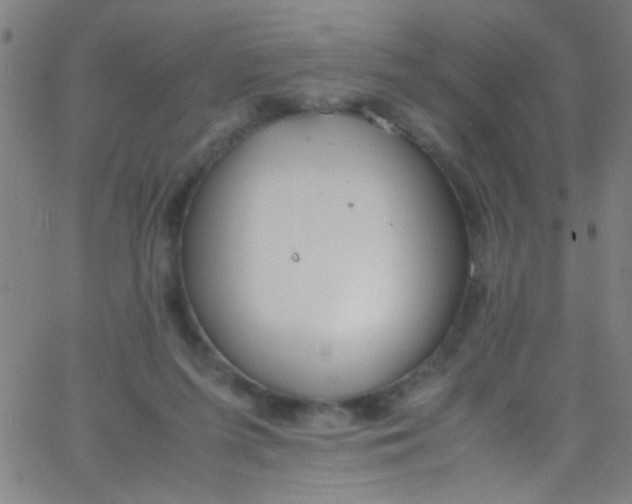 X0000067950215200604272107