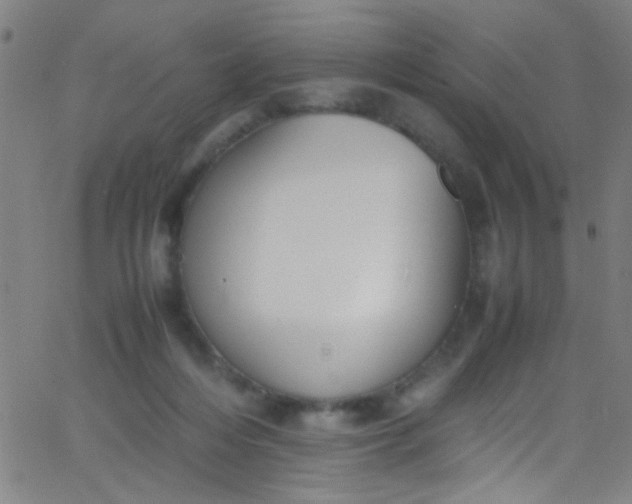 X0000067950216200604272107