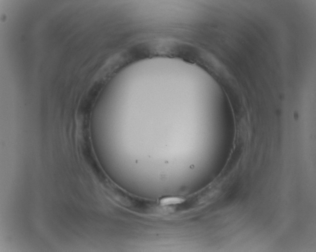 X0000067950217200604272107