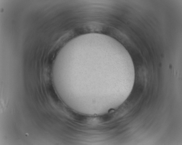 X0000067950218200604272107