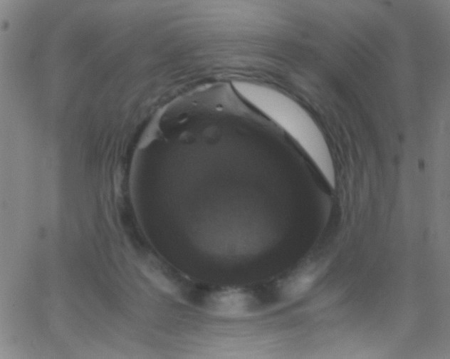 X0000067950219200604272107