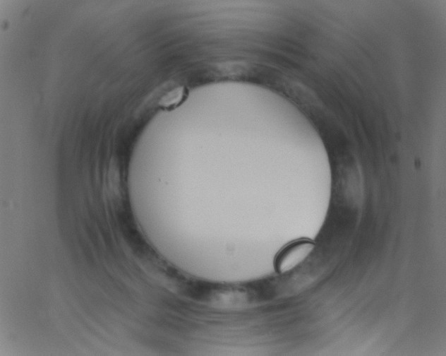 X0000067950220200604272107