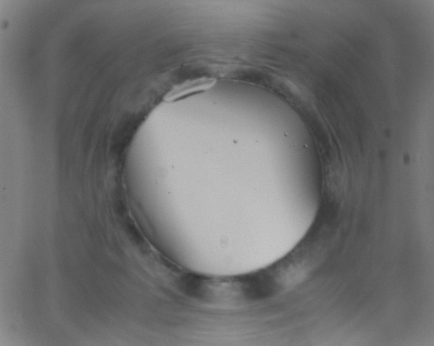 X0000067950221200604272107