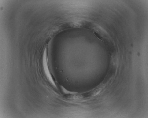 X0000067950223200604272107