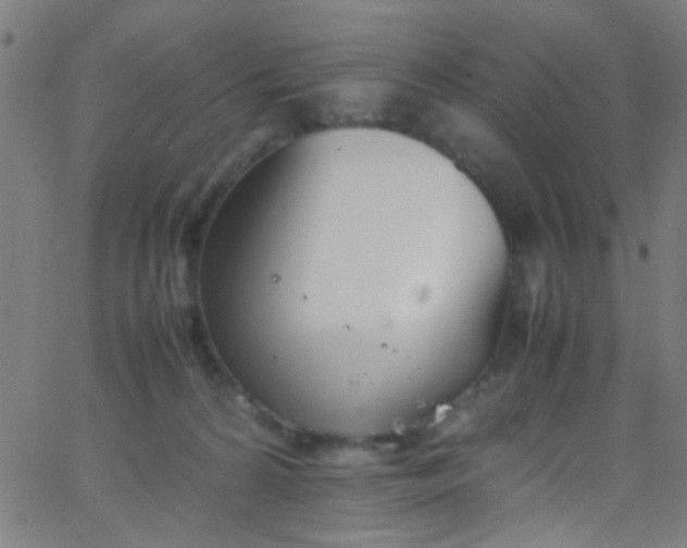 X0000067950224200604272107