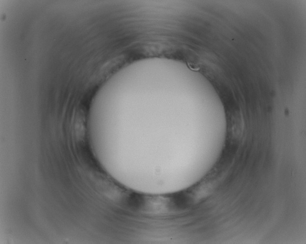 X0000067950226200604272107