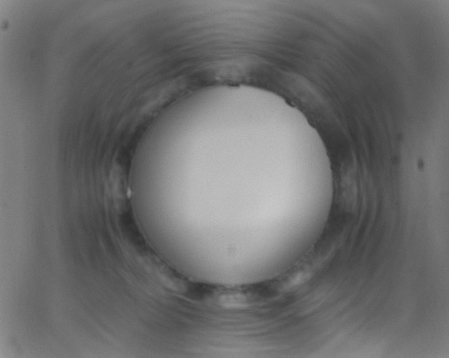 X0000067950228200604272107