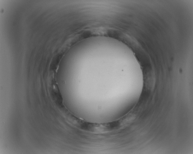 X0000067950229200604272107