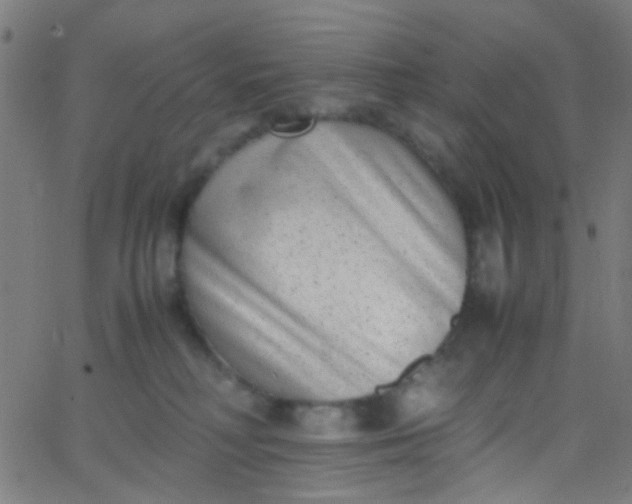 X0000067950230200604272107