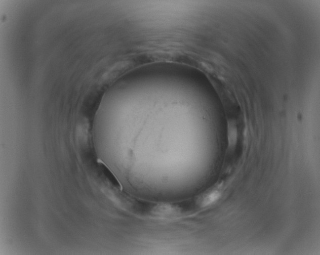 X0000067950231200604272107