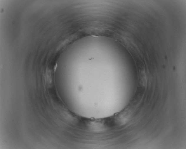 X0000067950232200604272107