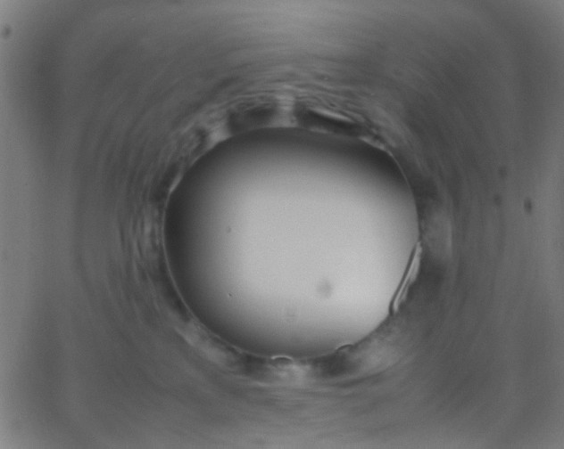 X0000067950233200604272107