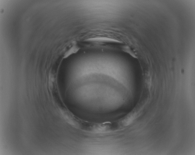 X0000067950235200604272107