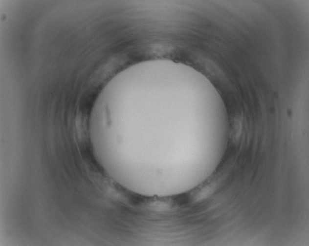 X0000067950236200604272107