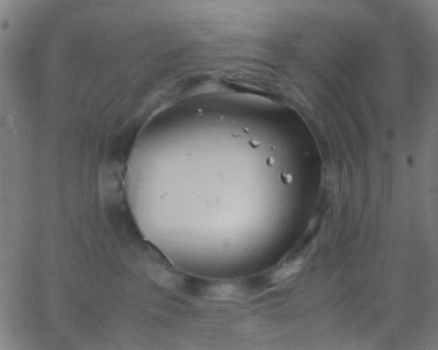 X0000067950237200604272107