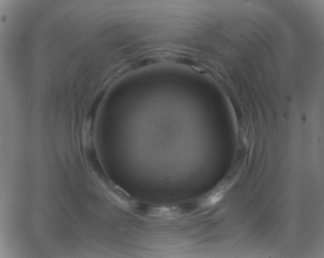 X0000067950239200604272107