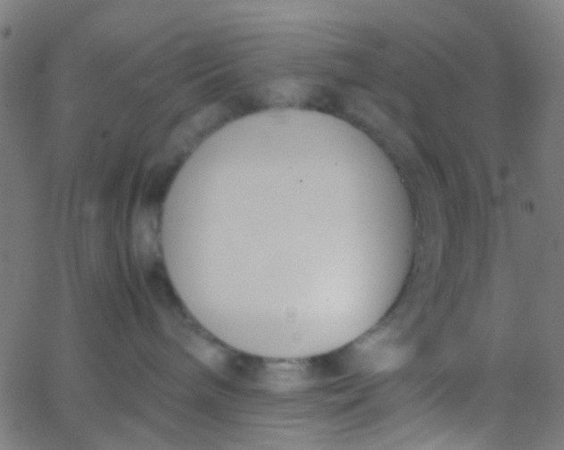 X0000067950240200604272107