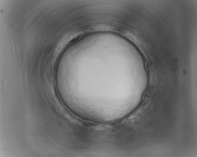 X0000067950241200604272106