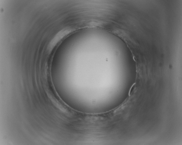 X0000067950242200604272106