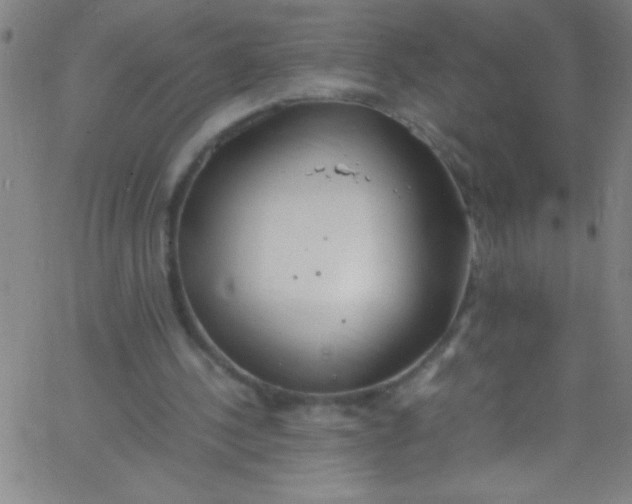 X0000067950244200604272106