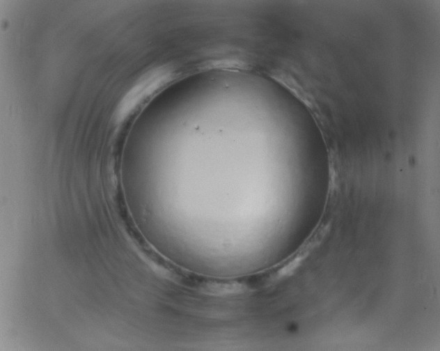 X0000067950245200604272106