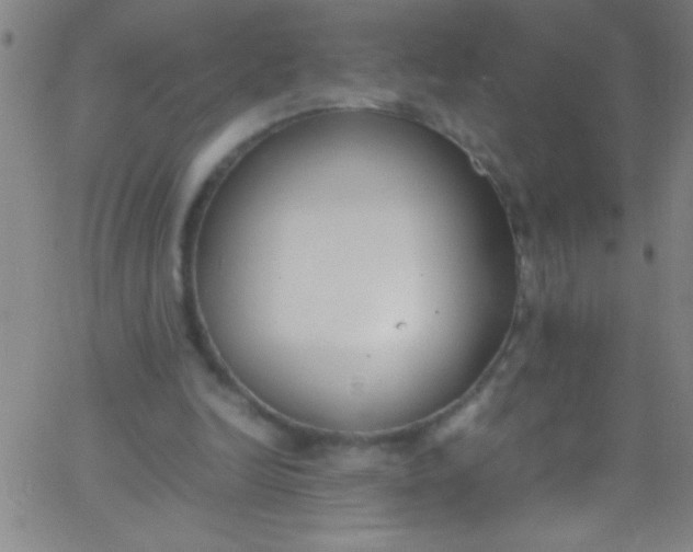 X0000067950246200604272106