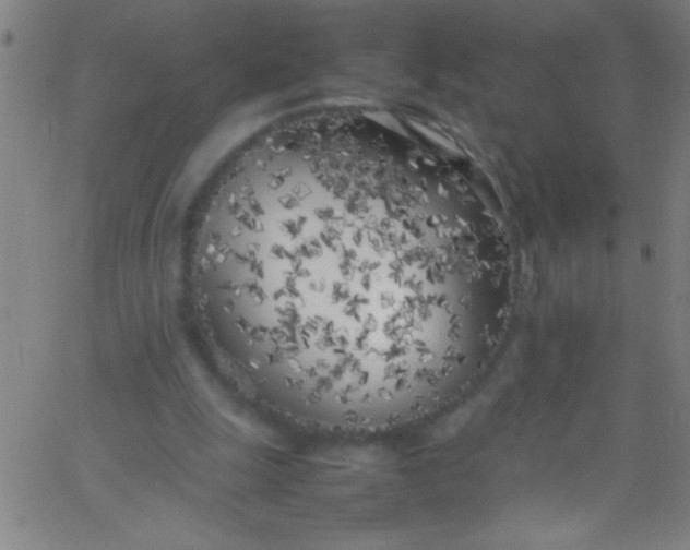 X0000067950247200604272106