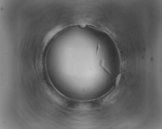 X0000067950248200604272106