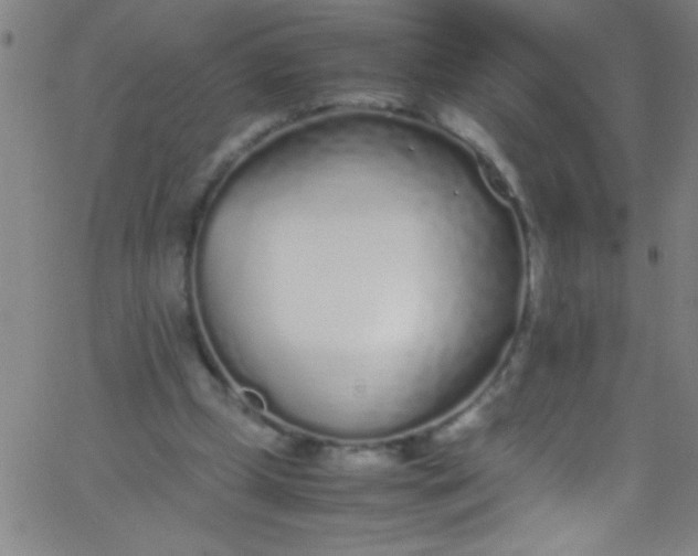 X0000067950249200604272106