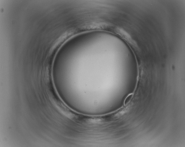 X0000067950250200604272106