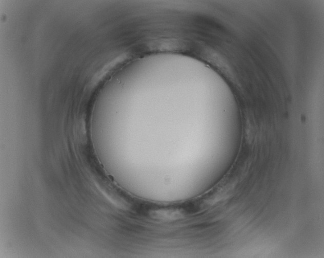 X0000067950251200604272106