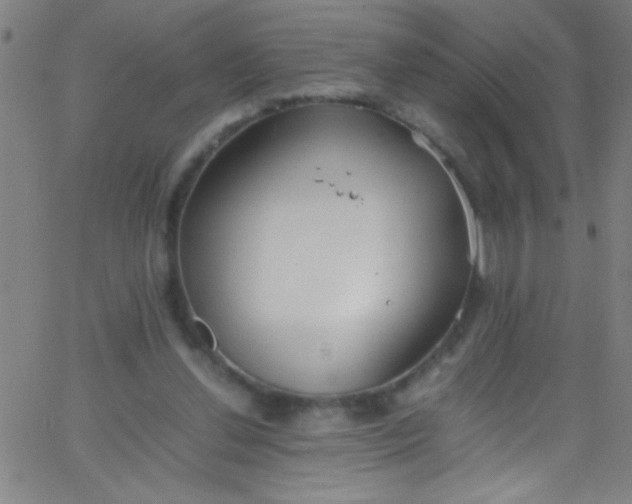 X0000067950252200604272106