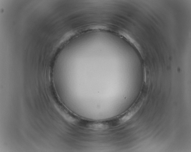 X0000067950253200604272106