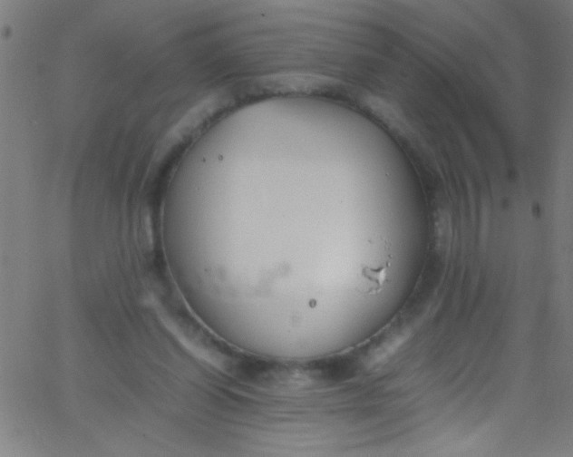 X0000067950254200604272106