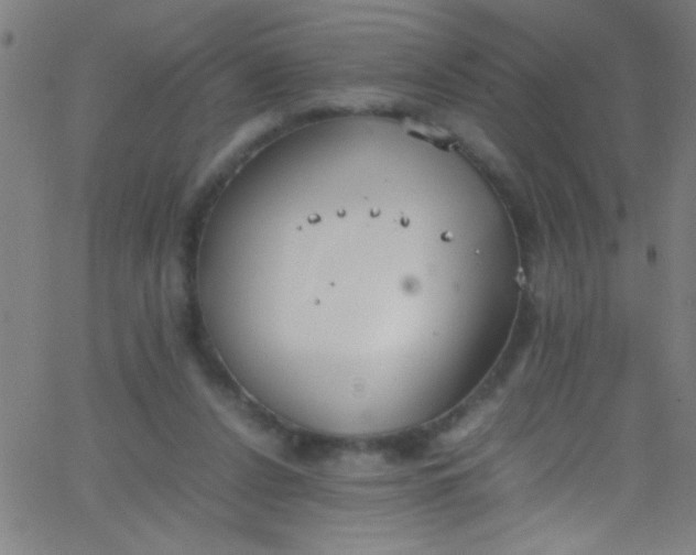 X0000067950256200604272106