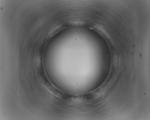 X0000067950259200604272107