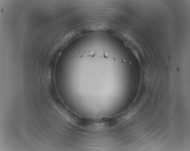 X0000067950260200604272107