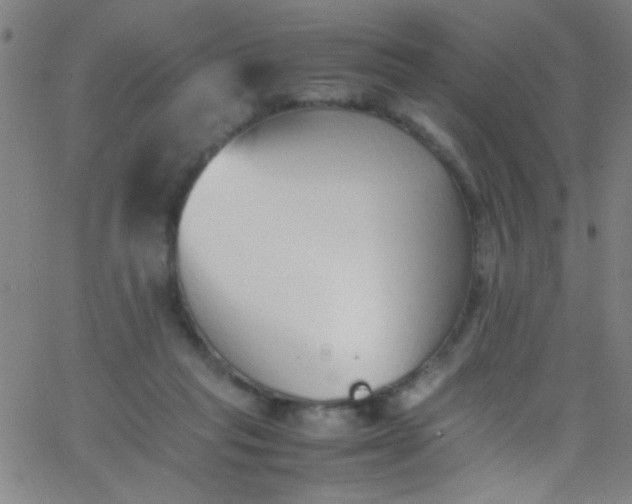 X0000067950261200604272107